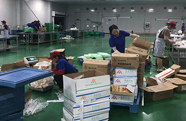 新麦生鲜供应链ERP管理软件 生鲜配送行业的个性化定制解决方案